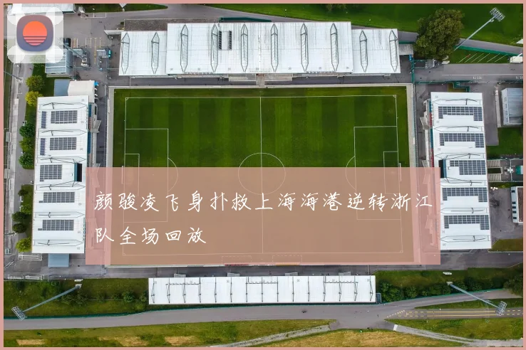 颜骏凌飞身扑救上海海港逆转浙江队全场回放