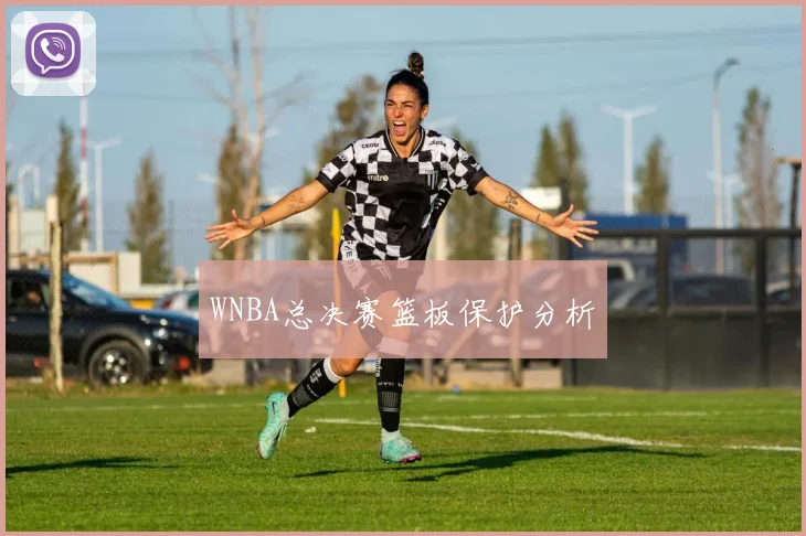 WNBA总决赛篮板保护分析